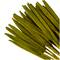 Dried Plant Bunny Tail Natural Foliage with Long Stems